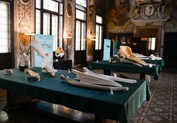 Mostra I Giganti del Mare - Palazzo Cavalli